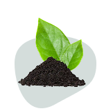 Plant Food