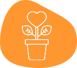 Innovative Plant Care