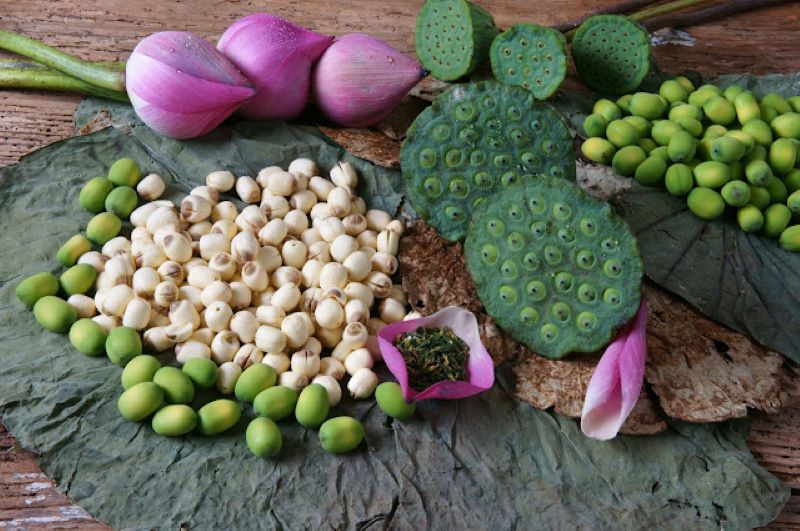 Lotus Seeds